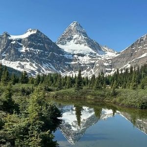 Meet your Posher, Marcel